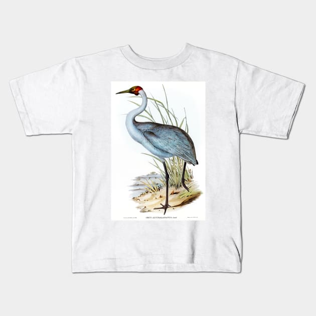 Australian Crane (Grus Australasianus) Kids T-Shirt by WAITE-SMITH VINTAGE ART